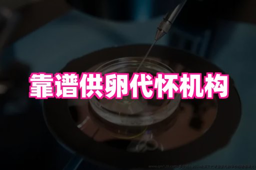 微信二维码